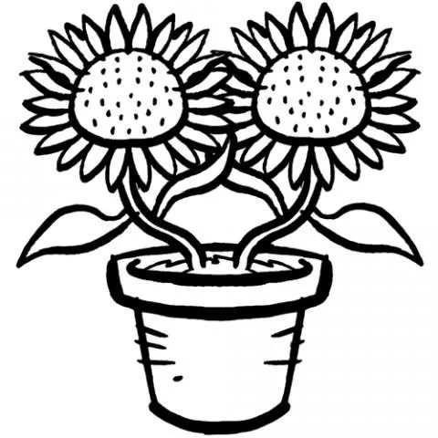 assets/images/dibujos/g/girasoles_1_g_thumb_480x480.gif