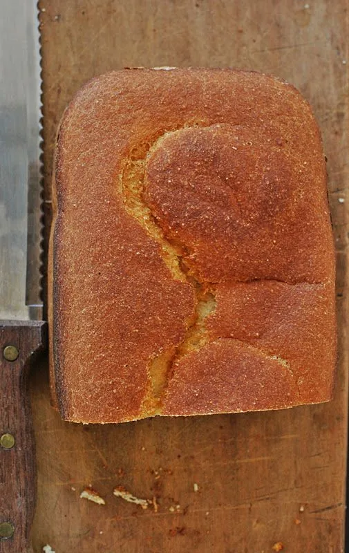 Glu-Fri recetas sin gluten y mas ricette senza glutine: Pane senza ...