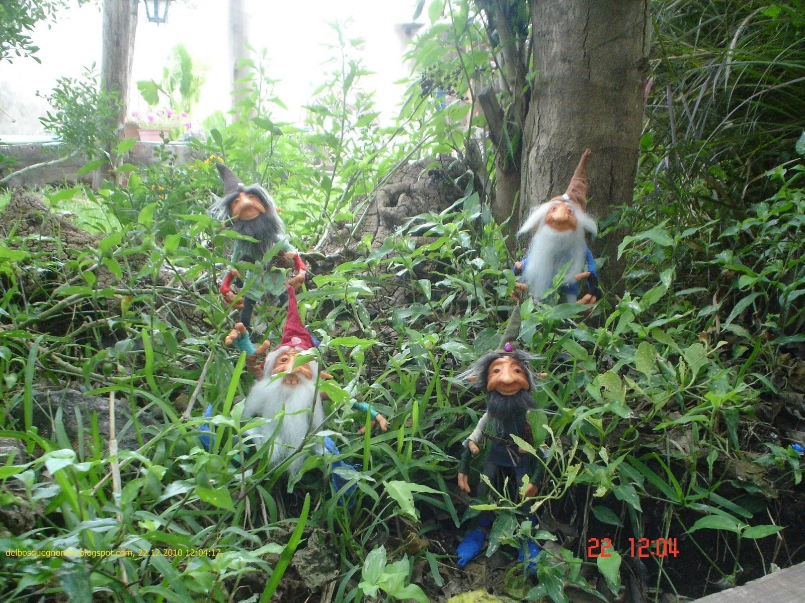 Gnomos del Bosque