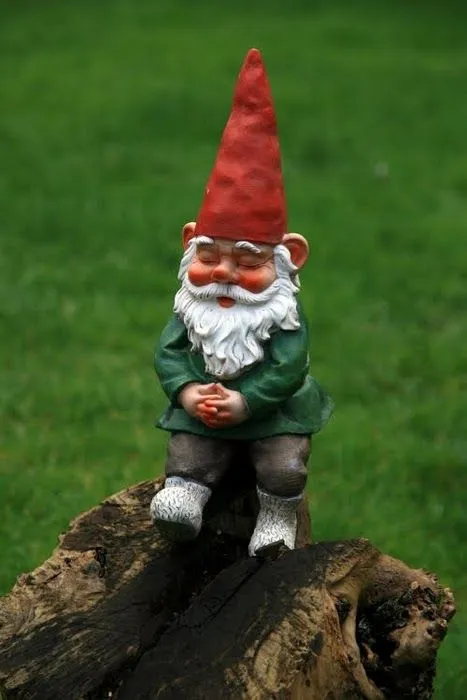 Gnomos de jardín - Taringa!