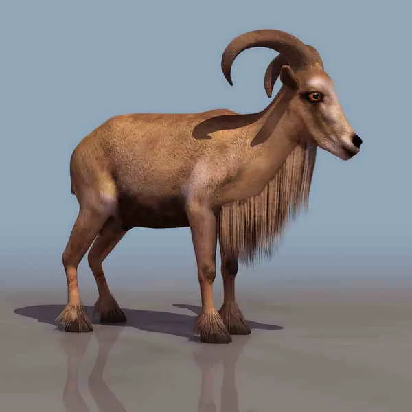 Goats animals 36 3D Model Download,Free 3D Models Download