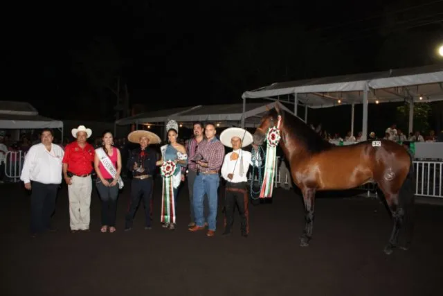 GOBCOL: En el concurso de Caballo Azteca Gana Rancho Betania ...