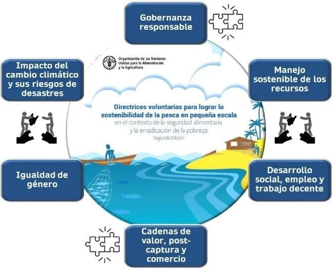 GOBERNABILIDAD EN LAS PESQUERÍAS MARINAS DE PEQUEÑA ESCALA DE VENEZUELA EN  EL CONTEXTO REGIONAL - Issuu