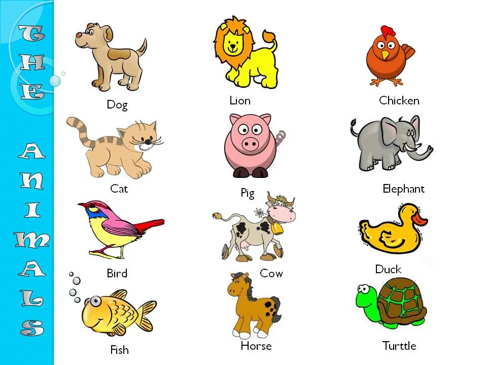 GOING TO STUDY ENGLISH!!: The Animals