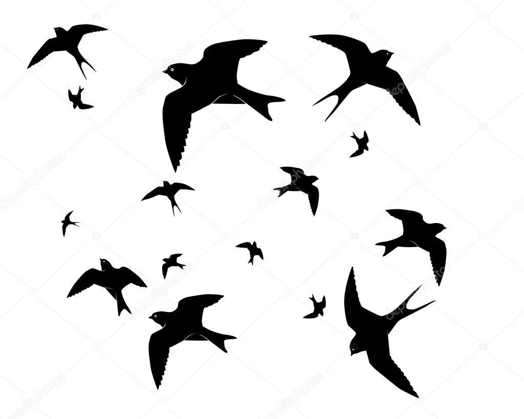 Golondrinas volando — Vector stock © mayboro #