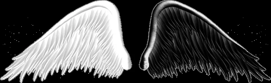 Good and Evil Angel Wings PNG 05 by Thy-Darkest-Hour on deviantART