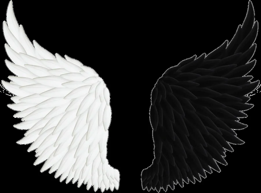 Good and Evil Angel Wings PNG by Thy-Darkest-Hour on DeviantArt