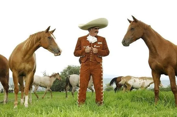 Good Pix For - Caballos De Vicente Fernandez En Venta