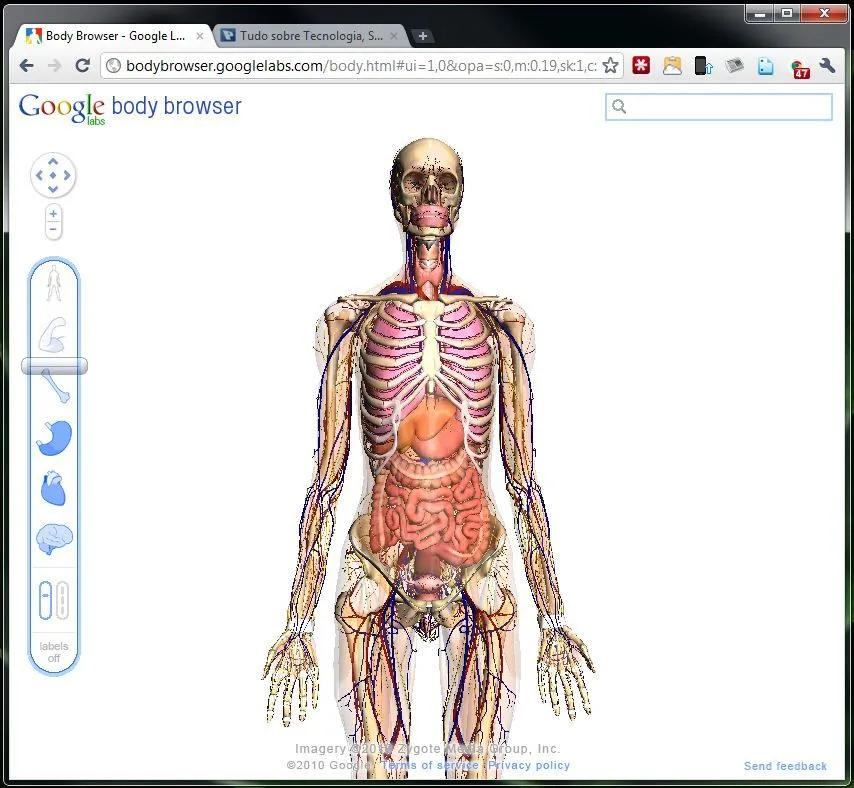 Google Body Browser – O Atlas do Corpo Humano… | Pplware