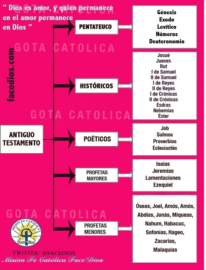 GOTA CATÓLICA: LAMINAS ANTIGUO TESTAMENTO / NUEVO TESTAMENTO