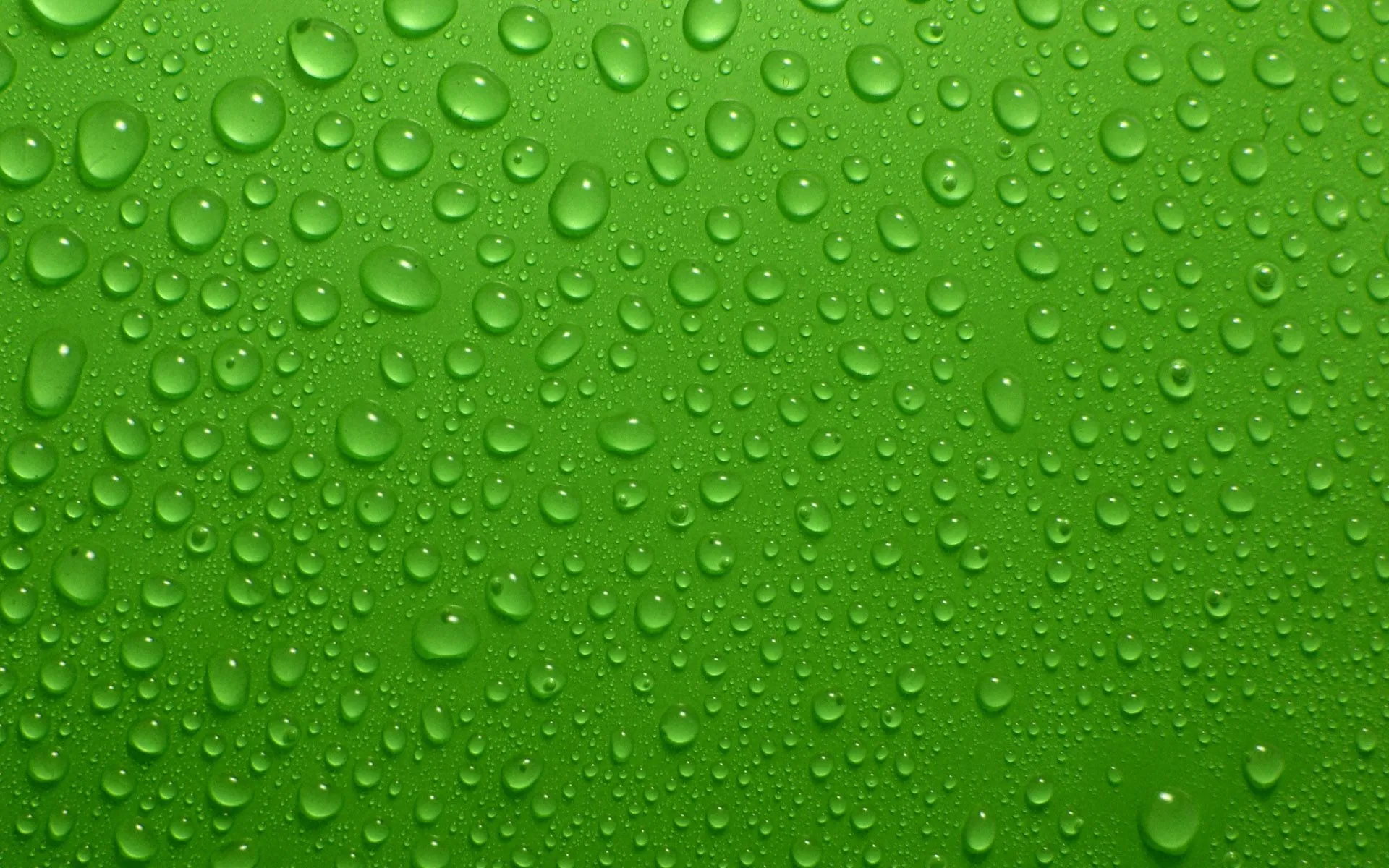 gotas_de_agua_en_fondo_verde- ...