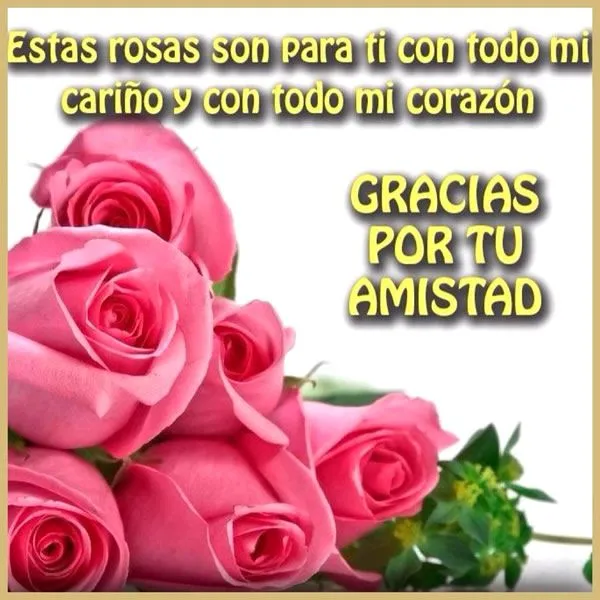 Gracias por tu Amistad imagen #5177