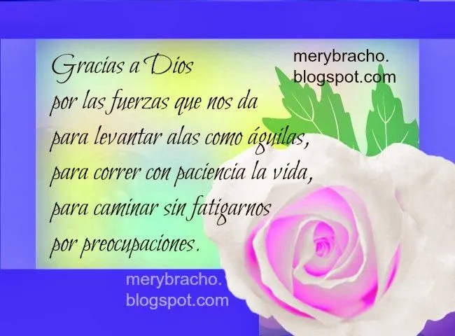 Gracias a Dios por este día | Entre Poemas y Vivencias