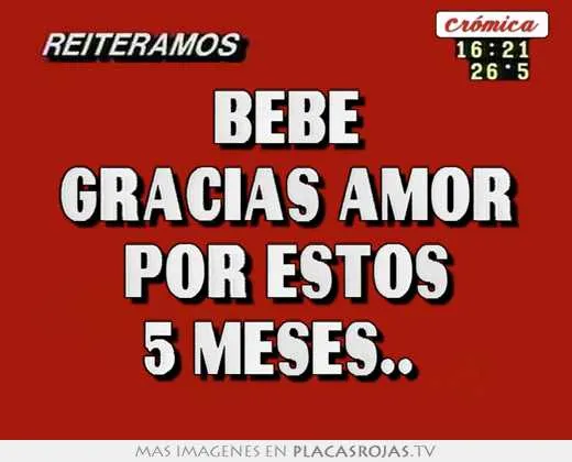 Gracias por estos 5 meses - Imagui