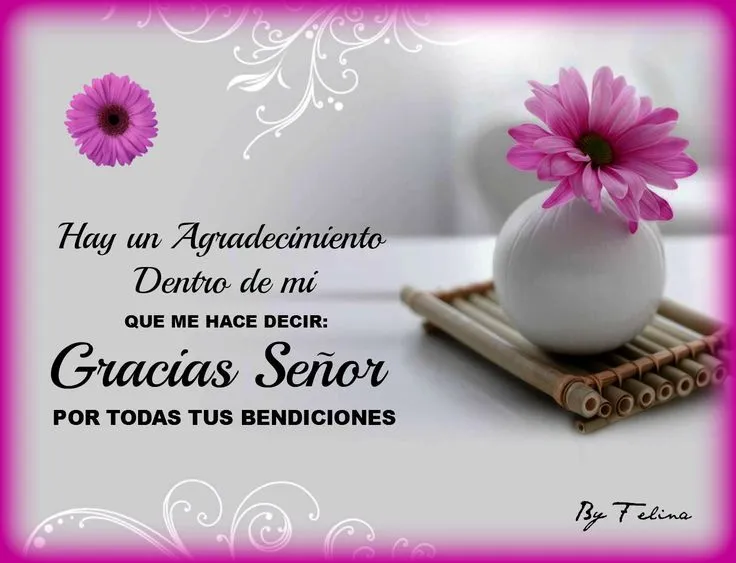 Gracias Señor por todas tus Bendiciones | Sierv@ de Dios | Pinterest