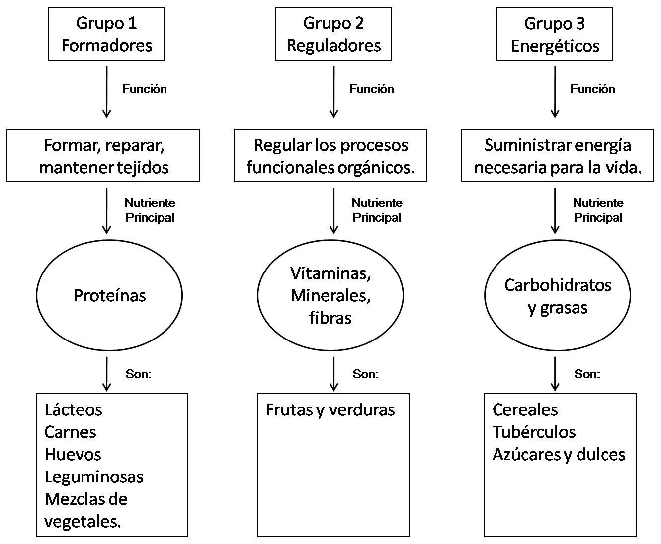 GRADOS TERCEROS 2014: CIENCIAS NATURALES