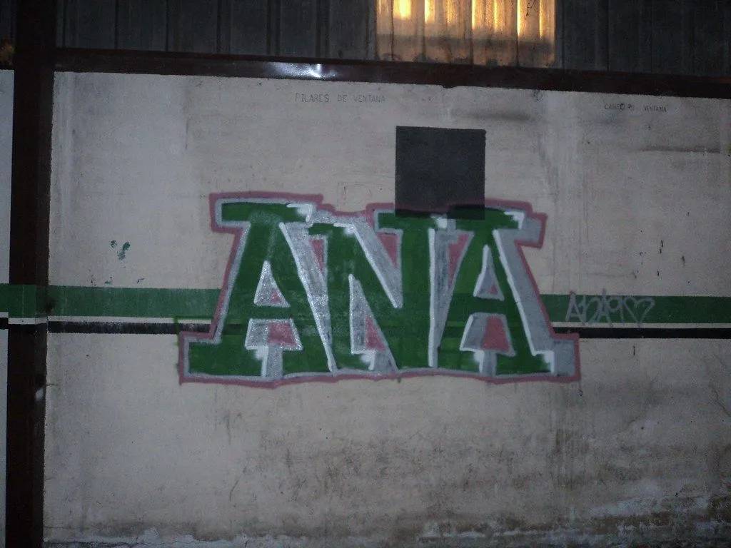 graffiti ana echo por mi | Flickr - Photo Sharing!