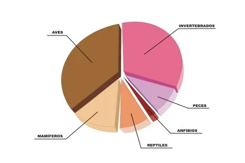 3. Gráficas | Contenidos