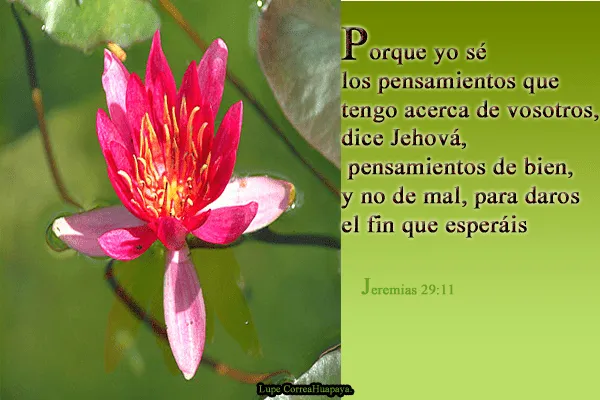 Gráficas Cristianas: JEREMIAS 29: 11