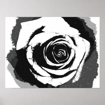 Este gráfico blanco y negro rígido de la rosa (una fotografía ...