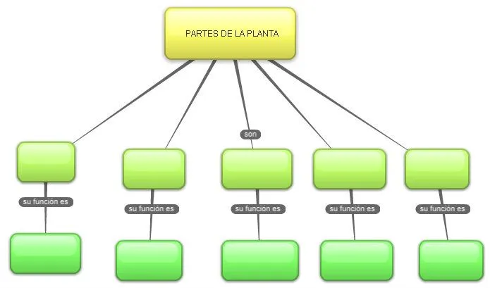 Gráfico de plantas y sus partes - Imagui