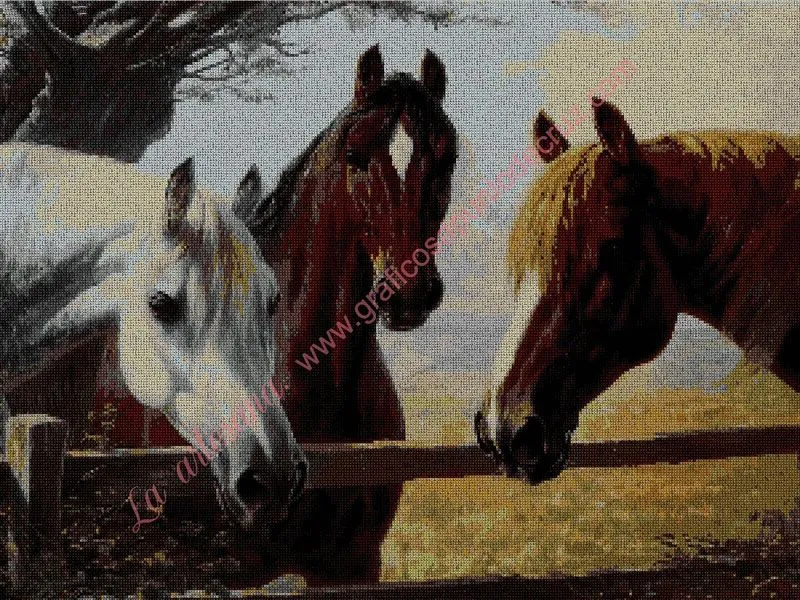 Gráfico a punto de cruz - Caballos en la cerca 54 x 42 cm