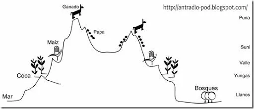 Graficos sobre el control vertical de pisos ecologicos ...