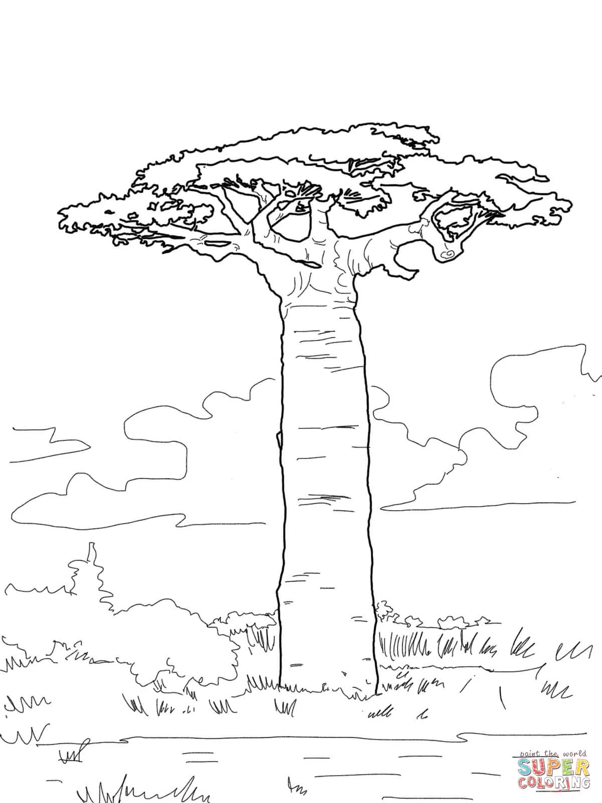 Grandidier's baobab coloring page | SuperColoring.