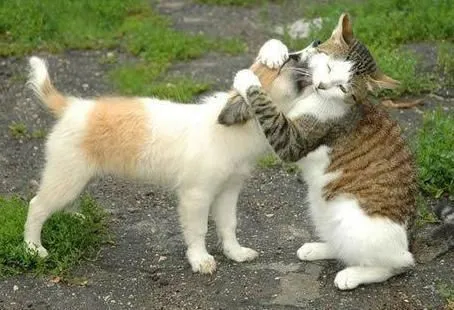 GRANDIOSAS LOCURAS | Master Page 1-copy1 | Wix.com