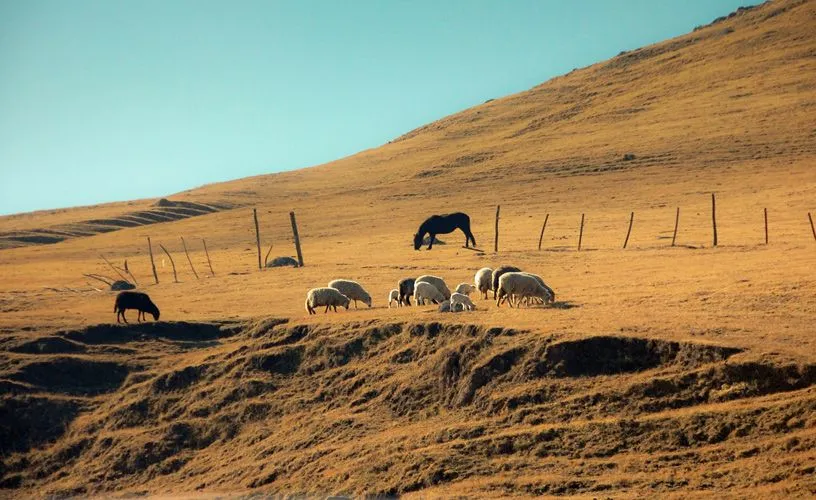 Granja ecológica en Tafí del Valle