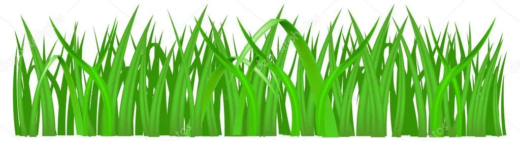 Grass — Stock Vector © creatOR76 #2768019