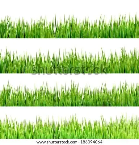 Green grass eps Free vector for free download about (320) Free ...