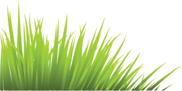 Green grass vector Free Vector / 4Vector