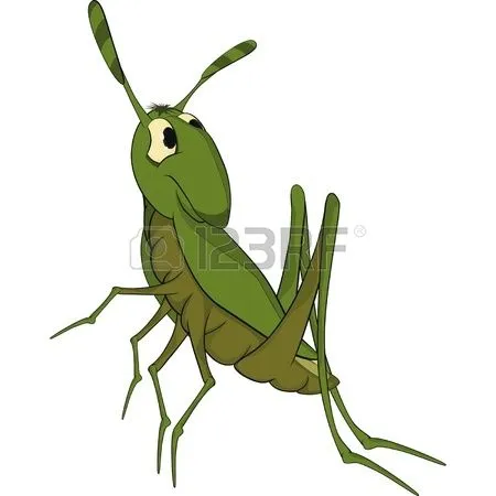 Green Grasshopper | Clipart Panda - Free Clipart Images