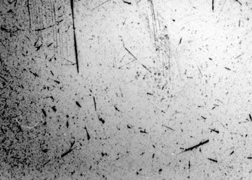 gris.jpg (44007 octets)