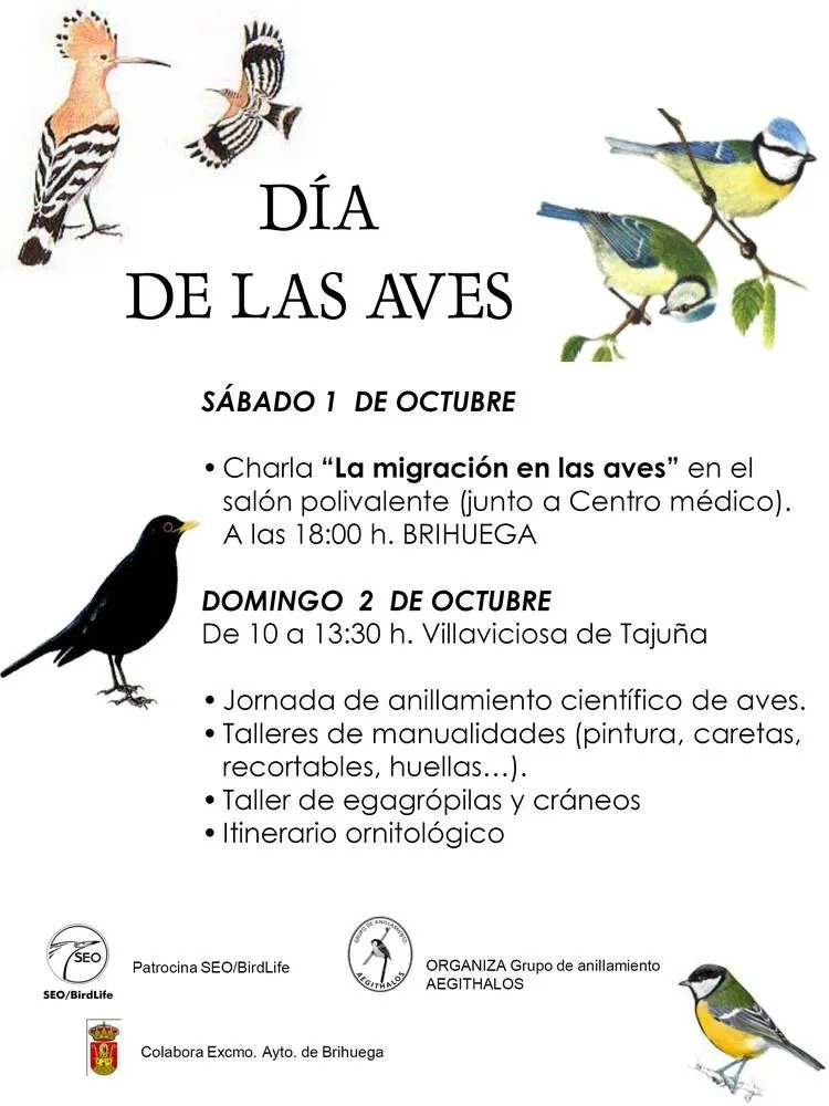 Grupo de Anillamiento Aegithalos: actividades en el "día de las aves"