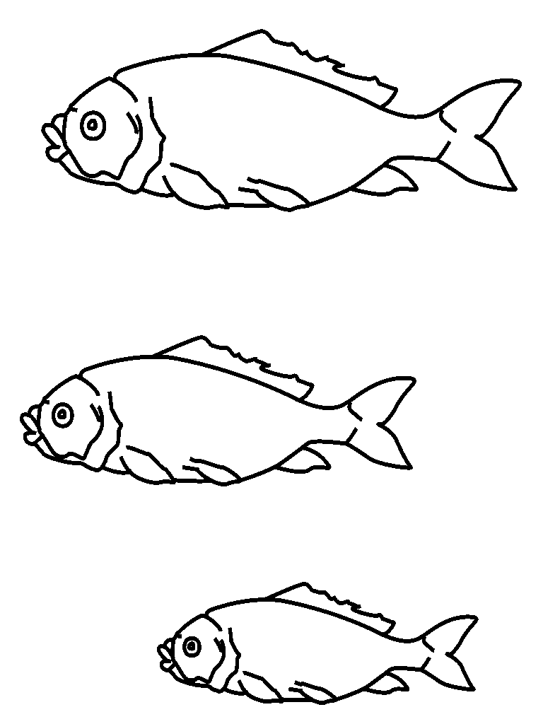 Grupo de Peces para colorear ~ Dibujos para Colorear Infantil