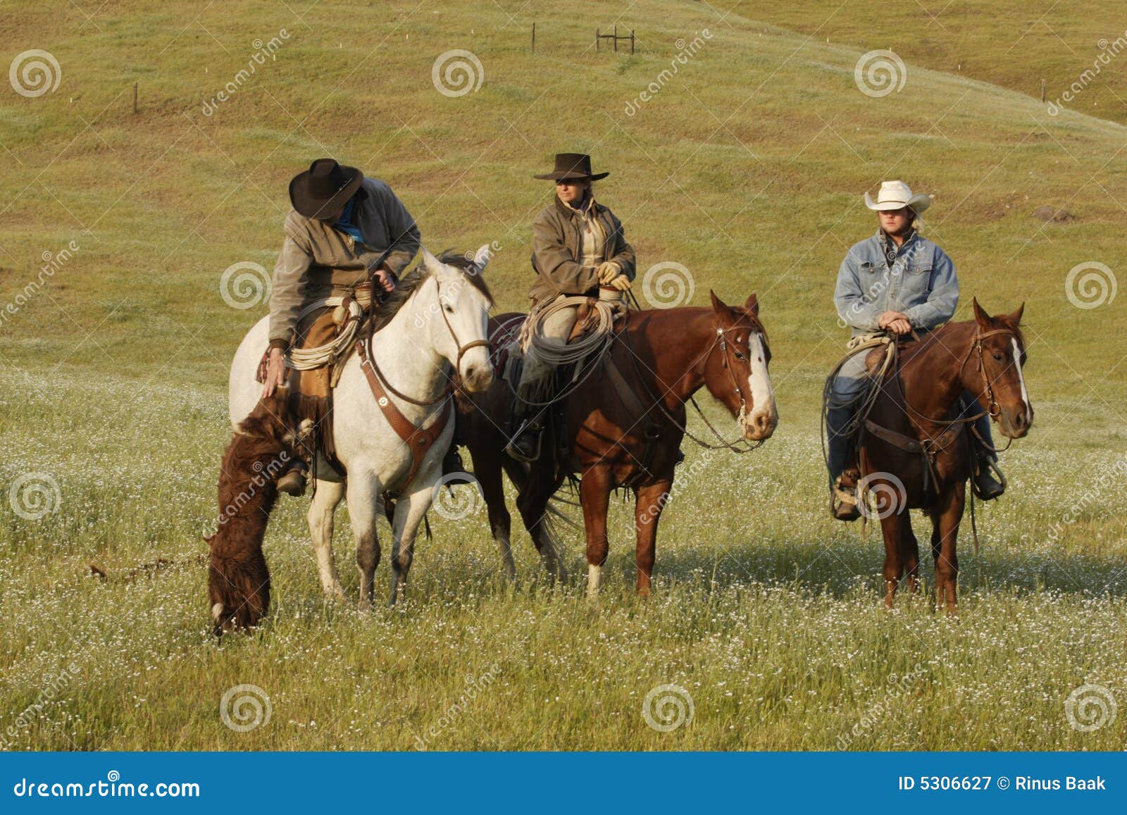 Grupo De Vaqueros Con El Perro Fotografía de archivo libre de ...