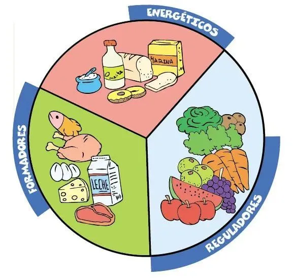 Grupos de alimentos - Escolar - ABC Color