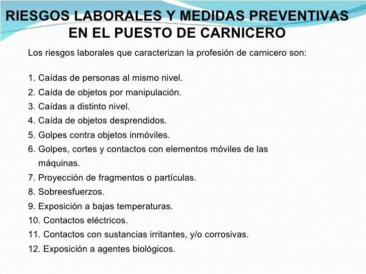 gua-de-prevencin-de-riesgos-en ...
