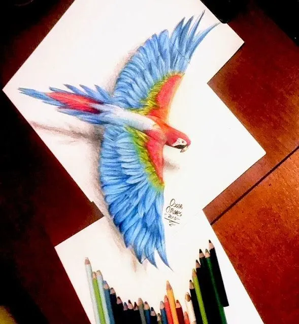 Guacamaya 3D | Oscar Olivares