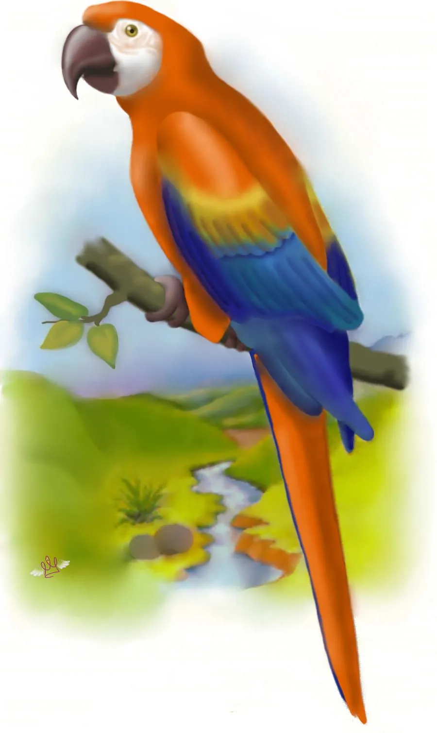 Guacamaya by chicajamonXD on DeviantArt