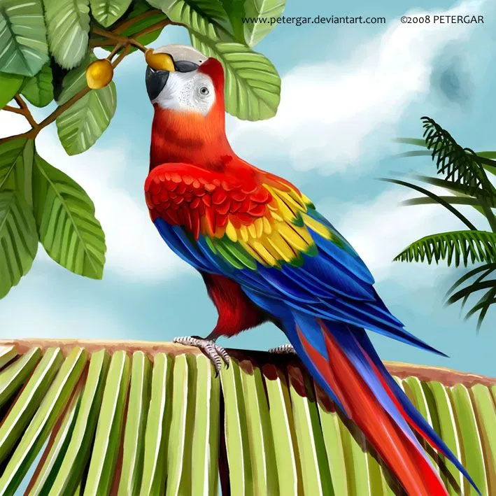 Guacamaya by petergar on DeviantArt