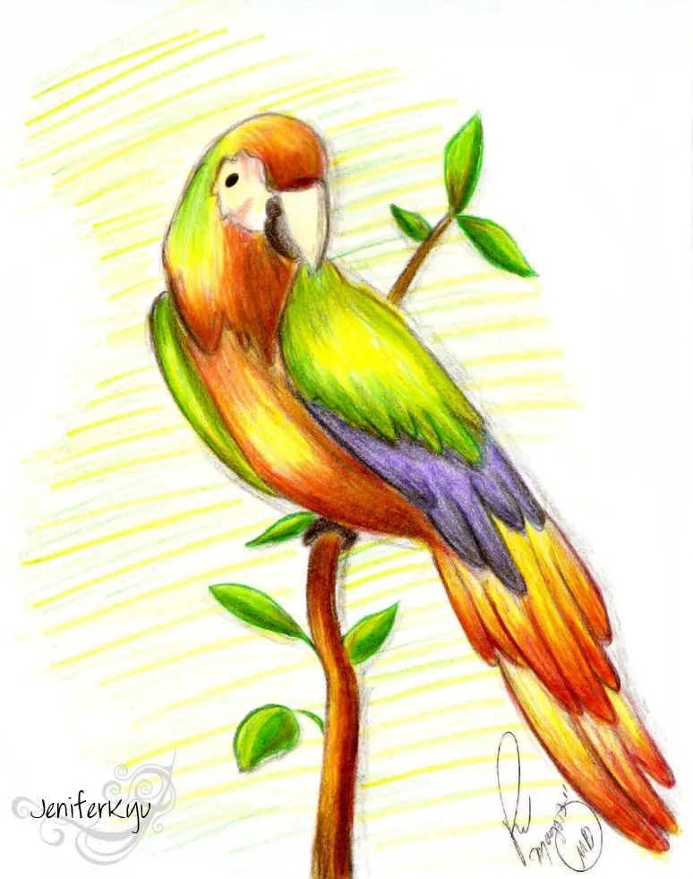 Guacamaya dibujo - Imagui