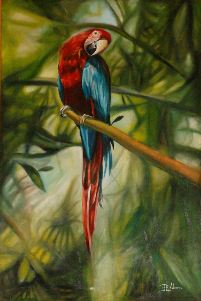 guacamaya Juan Carlos Alvarez - Artelista.