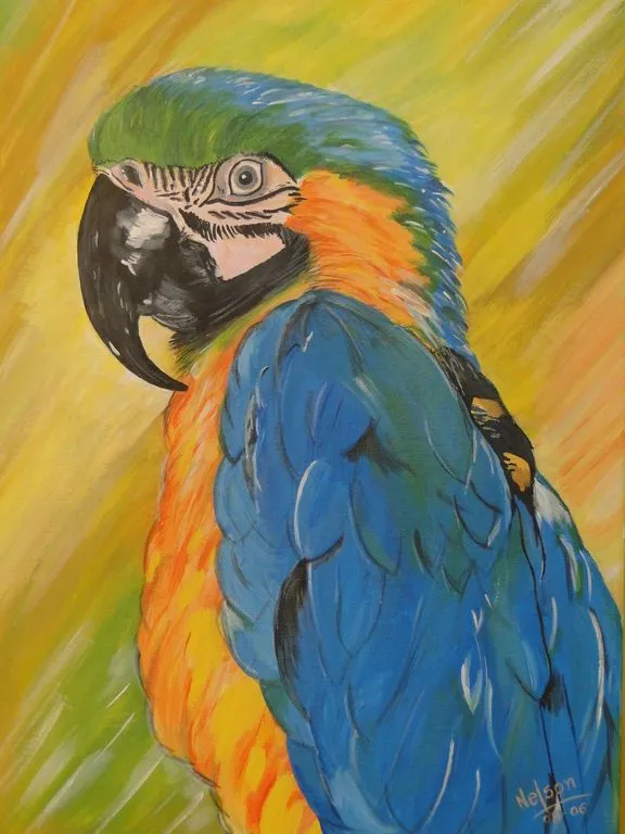 Guacamaya Nelson Medina López - Artelista.com