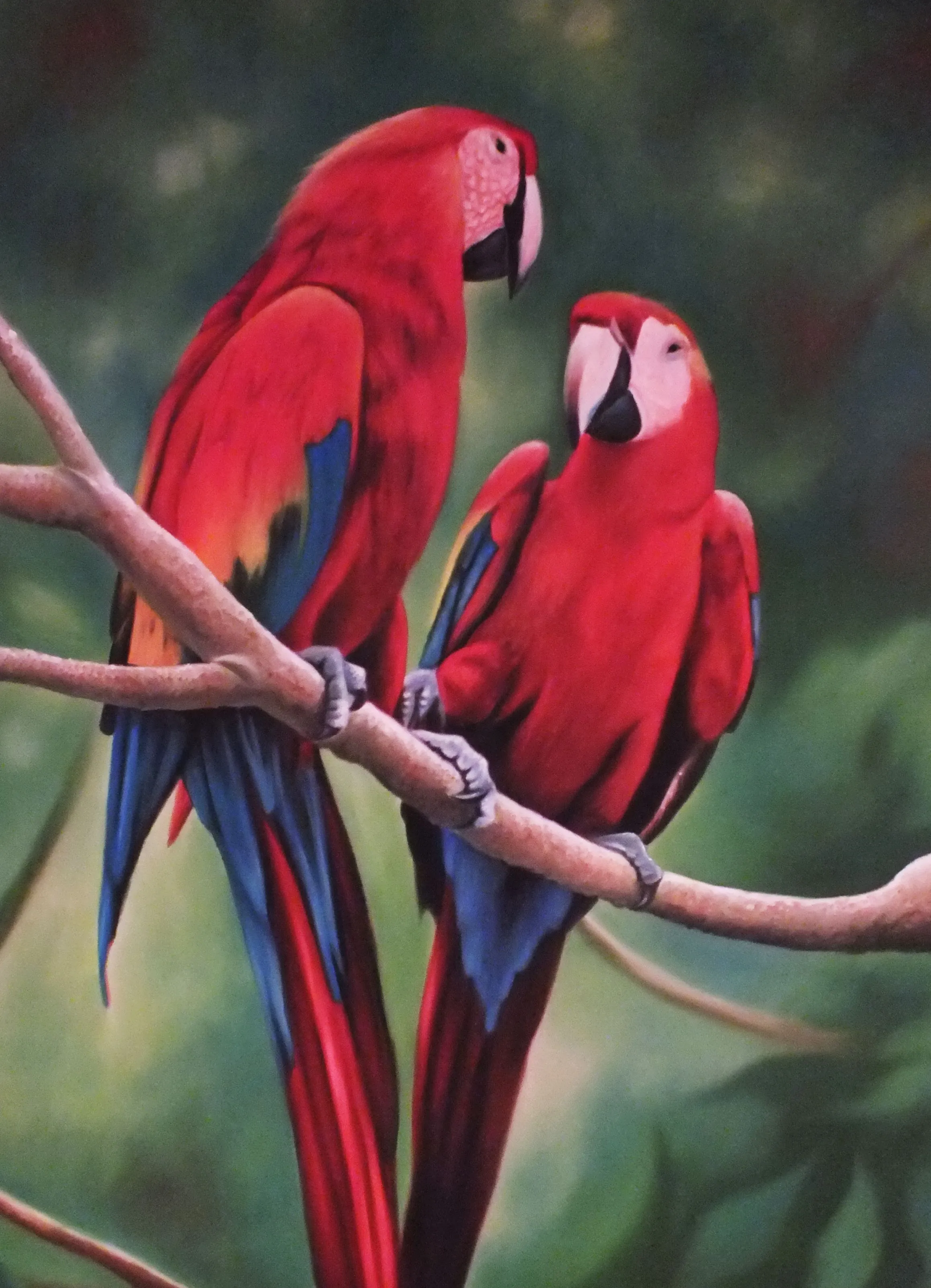 Guacamayas by JesusCamacho on DeviantArt