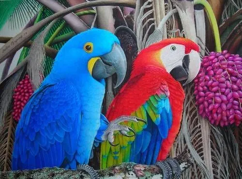 Guacamayas pinturas - Imagui