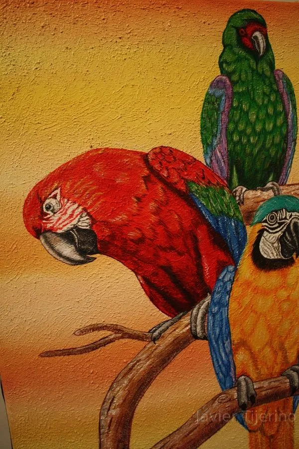 Guacamayas, Pintura al Oleo | Pinturas | Pinterest