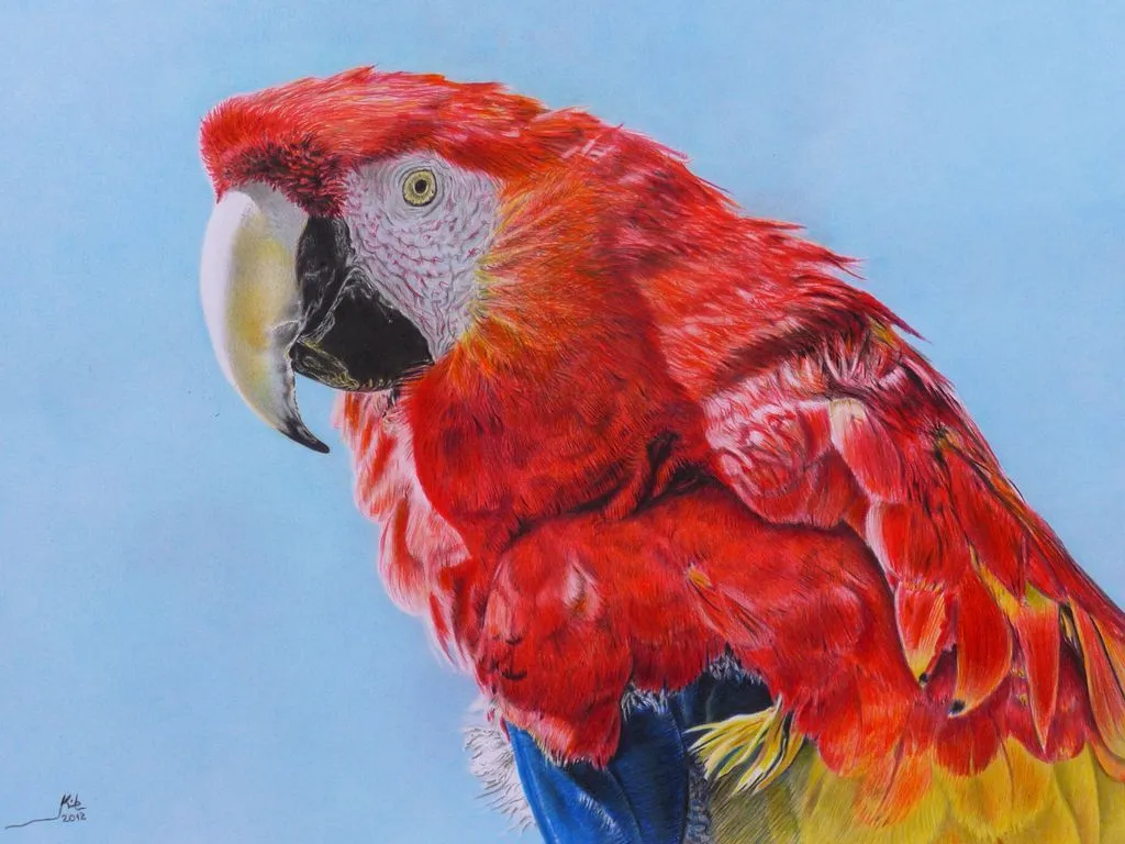 GUACAMAYO KILE ZABALA - Artelista.